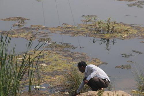 Nagpur Maharashtra 